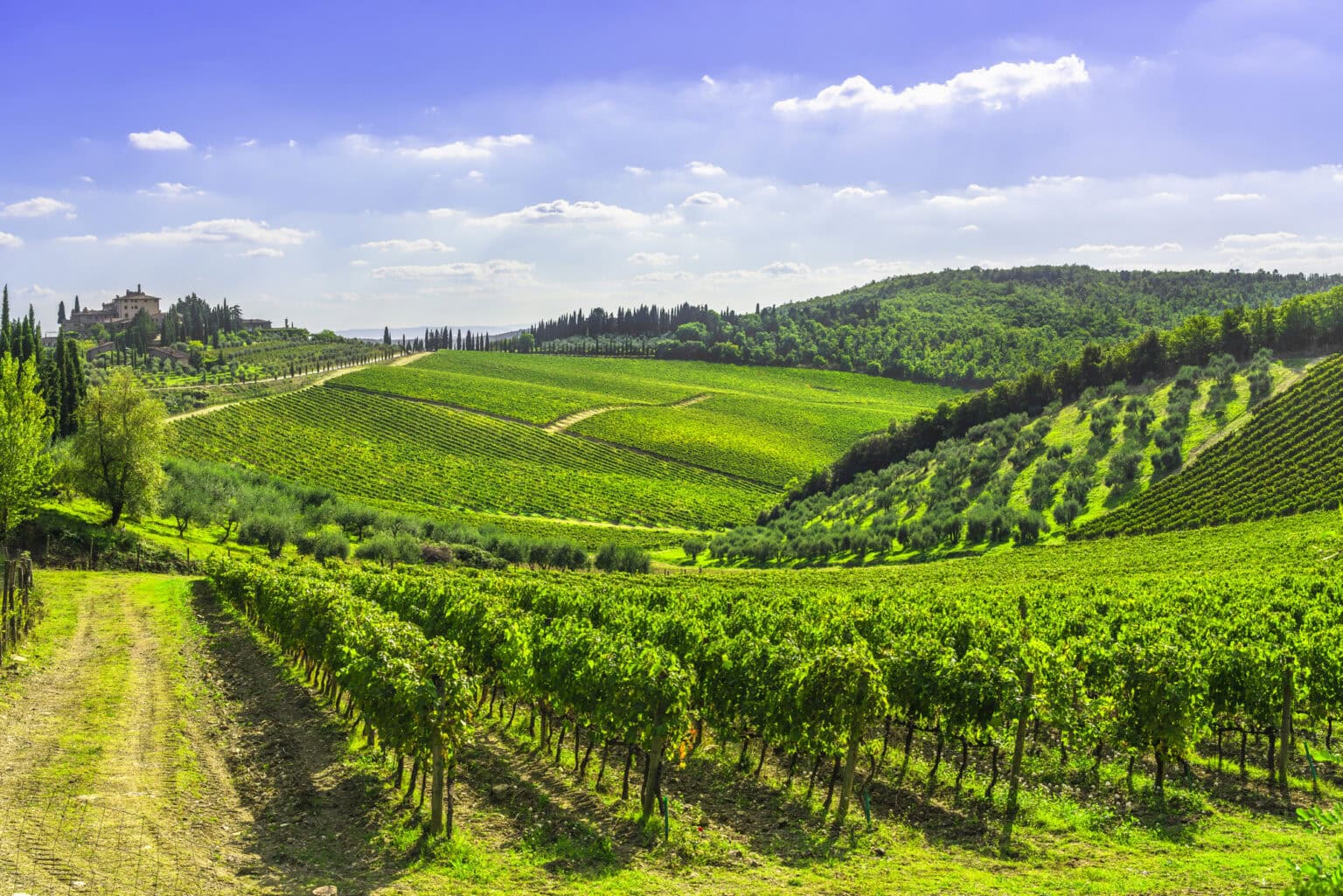 ME-SEDUCE - MONA TEDDY NOIR S/M main image 0