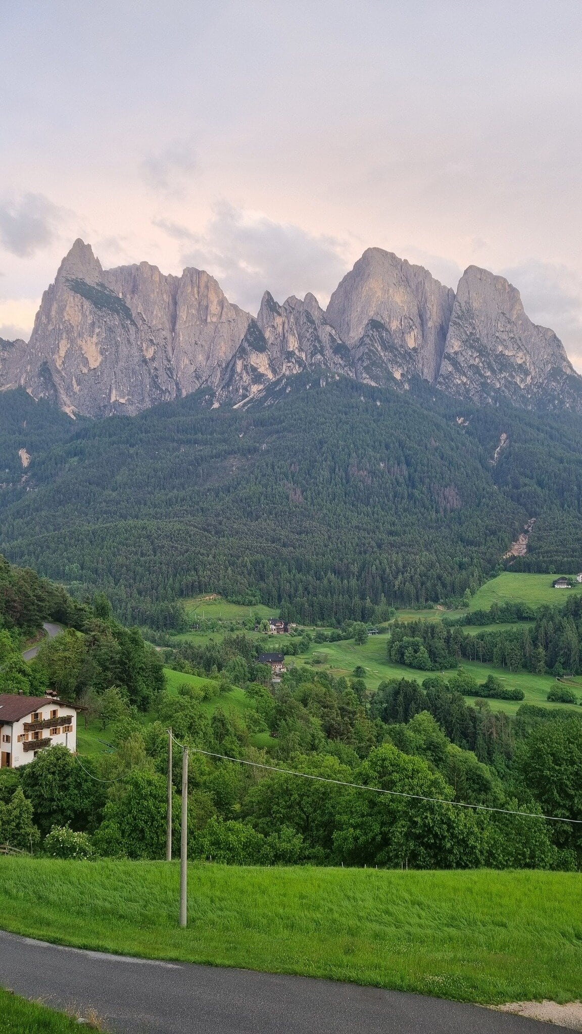 (רוית רוזנפלד)