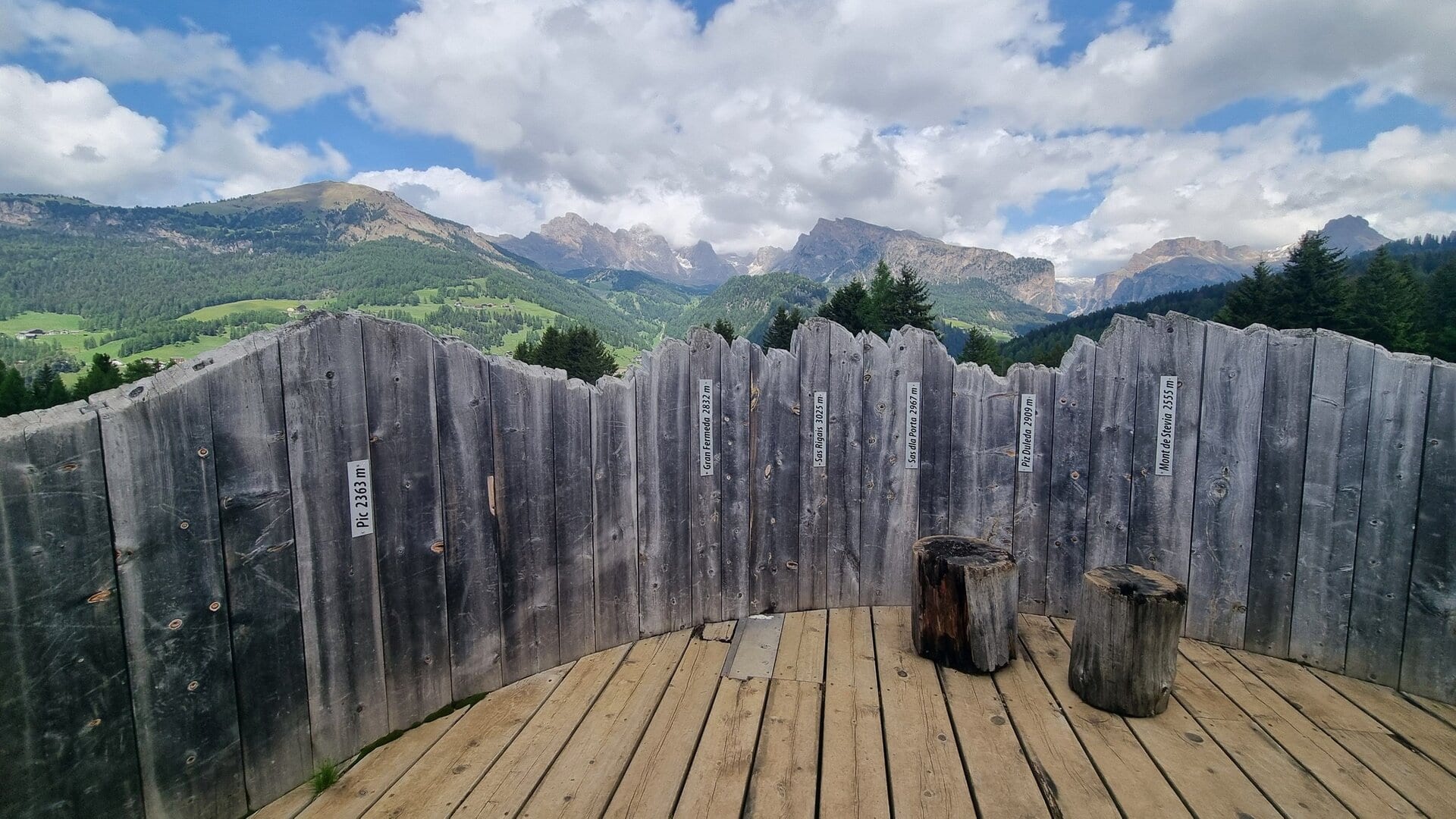 (רוית רוזנפלד)