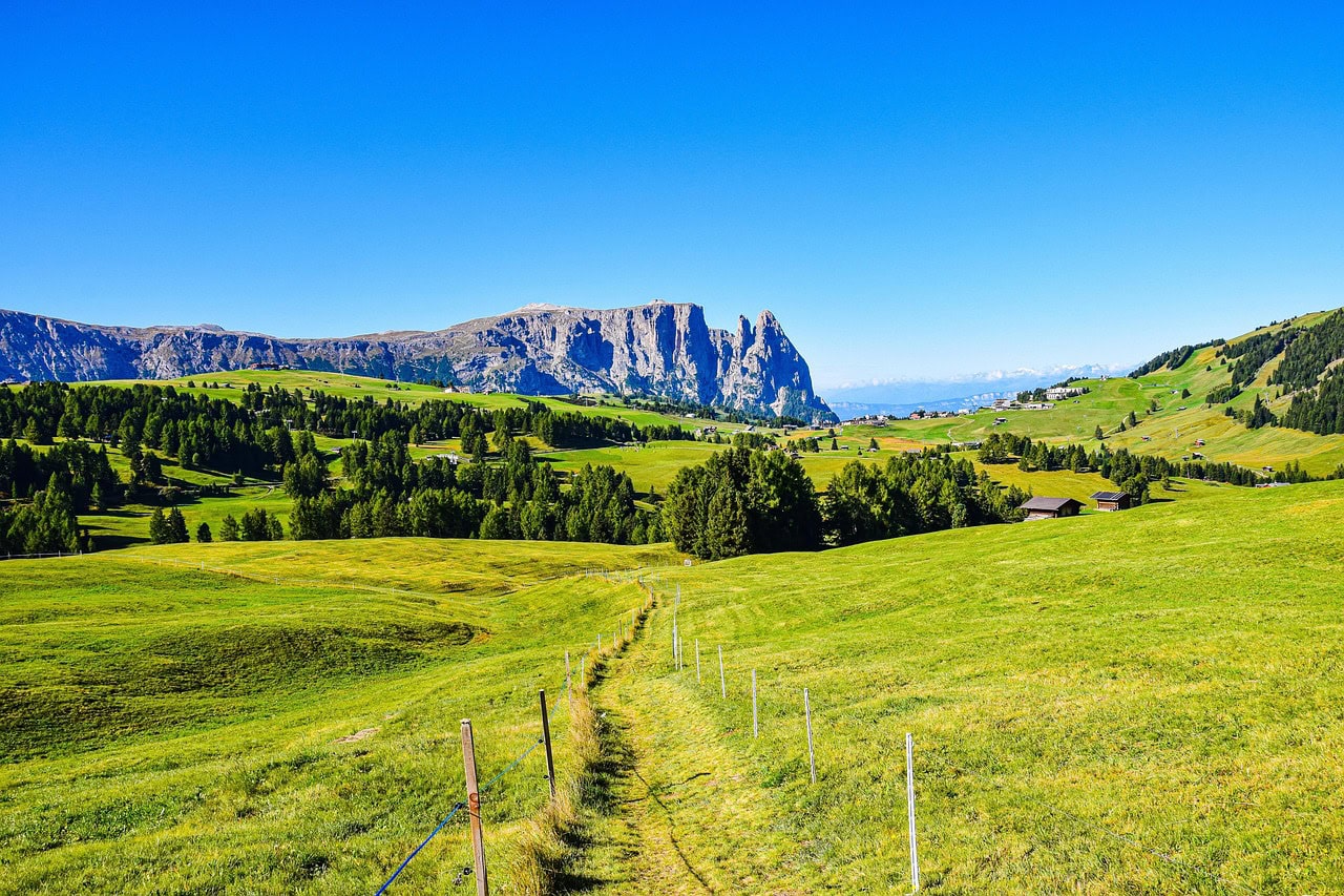 האלפים הסיוזיים